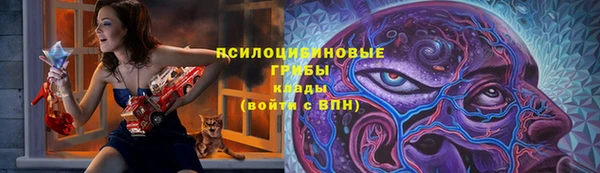 амф Арсеньев
