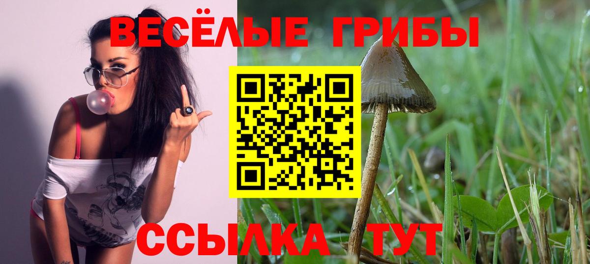 Краснотурьинск  Галлюциногенные грибы Magic Shrooms  Псилоцибиновые грибы MAGIC MUSHROOMS  Вход с VPN 